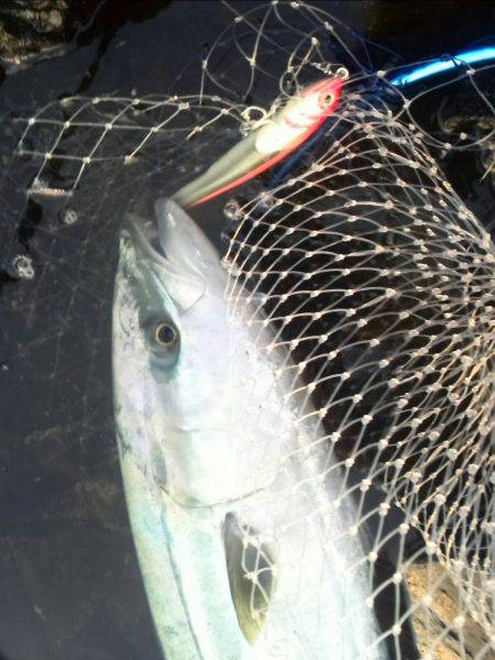 ご無沙汰でした